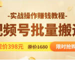 视频号批量运营实战教程，让你一天创作100个高质量视频，日引5W+流量-淘金日记