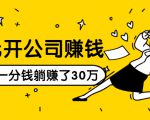 0元开公司赚钱，不花一分钱几天躺赚了30多万，详细操作流程！-淘金日记