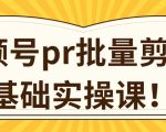 视频号PR批量剪辑0基础实操课，PR批量处理伪原创一分钟一个视频【共2节】-淘金日记