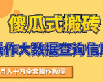 搬砖操作大数据查询信用项目赚钱教程,祝你快速月入6万-淘金日记