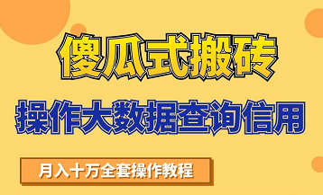 搬砖操作大数据查询信用项目赚钱教程,祝你快速月入6万-淘金日记