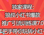 狼叔小红书爆款推广引流训练课7.0，手把手带你玩转小红书-淘金日记