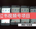 野路子小红书视频号1.0项目,直接上手操作就能赚钱的视频号项目-淘金日记
