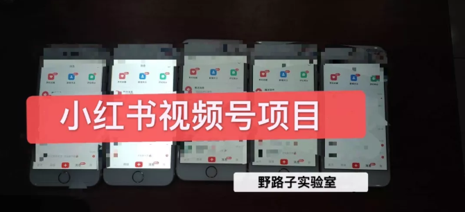 野路子小红书视频号1.0项目，直接上手操作就能赚钱的视频号项目-淘金日记