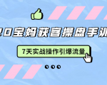 2020宝妈获客操盘手训练营:7天实战操作引爆 母婴、都市、购物宝妈流量-淘金日记