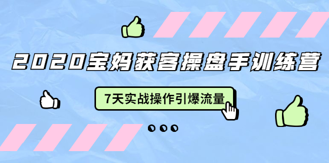 2020宝妈获客操盘手训练营：7天实战操作引爆 母婴、都市、购物宝妈流量-淘金日记