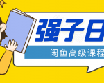 闲鱼高级课程:单号一个月一万左右 有基础的,批量玩的5万-10万都不是难事-淘金日记