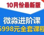 微淼理财进阶课全套视频:助你早点实现财务自由,理论学习+案例分析+实操-淘金日记
