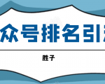胜子老师微信公众号排名引流，微信10亿月活用户引流方法-淘金日记