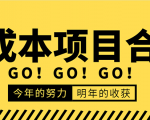 低成本零成本项目合集:赚钱快的慢的、暴利的,线上线下的,价值万元资料-淘金日记