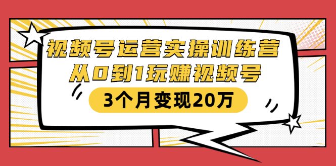 视频号运营实操训练营:从0到1玩赚视频号,3个月变现20万-淘金日记
