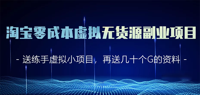 淘宝零成本虚拟无货源副业项目2.0 一个店铺可以产出5000左右的纯利润-淘金日记
