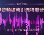 黄岛主·FM音频引流特训营2.0：独家引流模式，单账号50W+播放量，轻松变现-淘金日记
