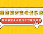 企业微信裂变增长实战课:带你搞定企业微信千万增长红利,新流量-新玩法-淘金日记