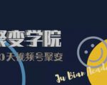 30天视频号成长营:视频号制作筹备+视频剪辑+视频号运营+引流变现-淘金日记