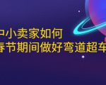 淘宝中小卖家如何利用春节期间做好弯道超车,如何做到月销售额20W+-淘金日记