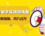 视频号新手实战训练营,让变现更简单,玩赚视频号,轻松月入过万-淘金日记