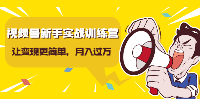 视频号新手实战训练营,让变现更简单,玩赚视频号,轻松月入过万-淘金日记