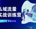 私域流量实战营:7天收获属于您的私域流量池,给你总结出可复制的套路-淘金日记