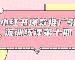 小红书爆款推广引流训练课第十期,手把手带你玩转小红书,轻松月入过万-淘金日记