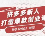 拼多多新人打造爆款创业课：快速引流持续出单，适用于所有新人-淘金日记