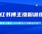 小红书博主涨粉训练营:一篇笔记爆涨10000粉及引流微信的技巧-淘金日记