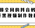 火爆全网的抖音“蚂蚁牙黑”视频制作教程,附软件【视频教程】-淘金日记