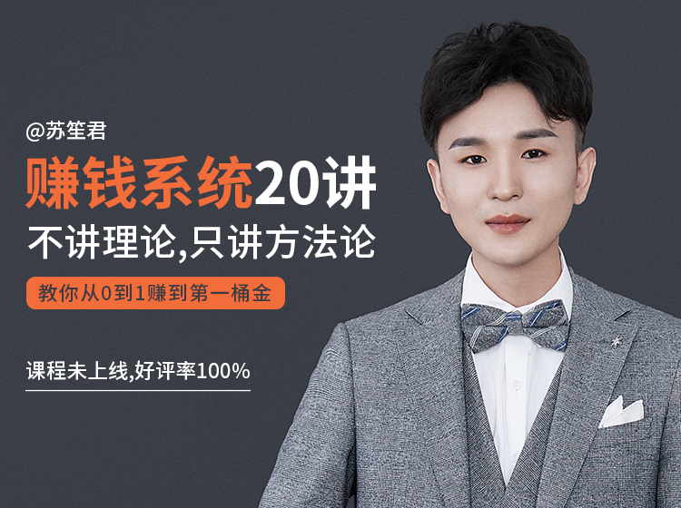 苏笙君的赚钱系统20课 教你从0到1赚到你的第一桶金（不讲理论，只讲方法论）-淘金日记
