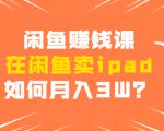 闲鱼赚钱课：在闲鱼卖ipad，如何月入3W？详细操作教程-淘金日记