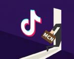 抖音MCN孵化课程,帮助商家拓客,帮助达人更好变现的课程,从0基础到超级IP-淘金日记