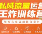 私域流量运营王炸训练营:全网引流+裂变涨粉+私域运营+高效成交-淘金日记