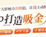 IP打造吸金术：0基础0资源，也能扩大影响力100倍，让钱主动找你！-淘金日记