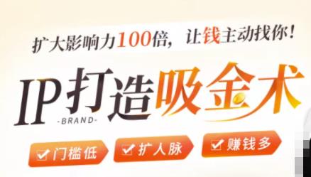 IP打造吸金术:0基础0资源,也能扩大影响力100倍,让钱主动找你!-淘金日记