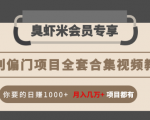 暴利偏门项目全套合集视频教程：你要的日赚1000+月入几万+项目都有-淘金日记