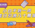 清和行记引流训练营:小白不到一周便能日引流几十精准粉-淘金日记