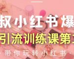 狼叔小红书爆款推广引流训练课第12期,手把手带你玩转小红书-淘金日记