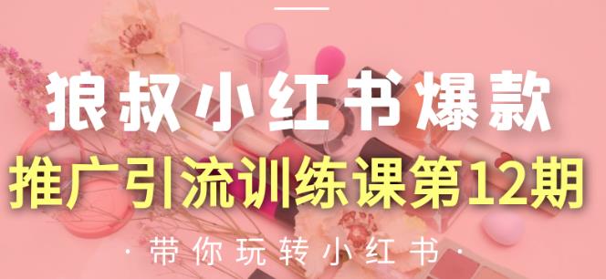 狼叔小红书爆款推广引流训练课第12期，手把手带你玩转小红书-淘金日记