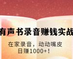 有声书录音赚钱实战:在家录音,动动嘴皮,日赚1000+!-淘金日记