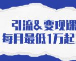 引流&变现课：分享一整套流量方法以及各个渠道收入，每月最低1万起！-淘金日记