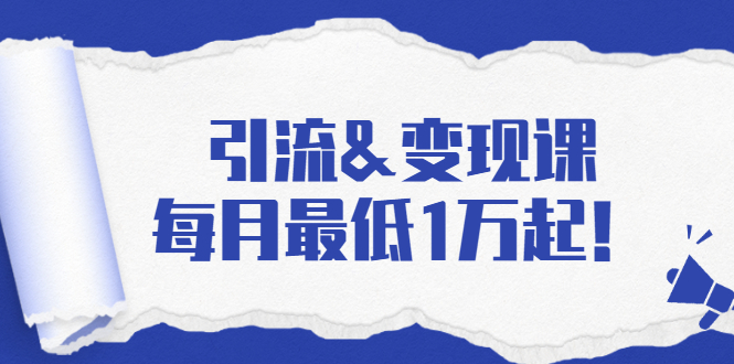 引流&变现课：分享一整套流量方法以及各个渠道收入，每月最低1万起！-淘金日记