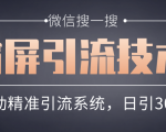 微信搜一搜霸屏引流技术,打造被动精准引流系统,轻松日引300+流量-淘金日记