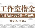 工作室撸金二件套:撸今日头条原创收益+小红书一单利润40块项目-淘金日记