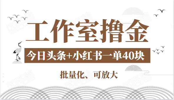 工作室撸金二件套：撸今日头条原创收益+小红书一单利润40块项目-淘金日记