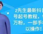 z先生最新抖音美女号起号教程,快速十万粉,一部手机就可以操作-淘金日记