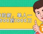 Paypal拉新赚美刀项目,单人一天利润500-1000刀【视频课程】-淘金日记