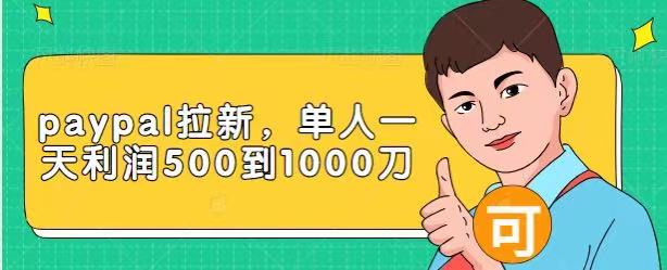 Paypal拉新赚美刀项目，单人一天利润500-1000刀【视频课程】-淘金日记