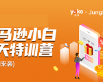 雨课·亚马逊小白特训营第9期 跨境电商挺赚钱的 有朋友已经月入几十万美金-淘金日记
