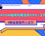 详细解析TIKTOK如何利用海外CPS+工具0粉丝轻松变现月入过万-淘金日记