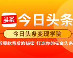 今日头条变现学院·打造你的吸金头条账号，打造10W+实操方法 价值2298元-淘金日记