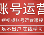 短视频账号运营课程：从话术到短视频运营再到直播带货全流程，新人快速入门-淘金日记